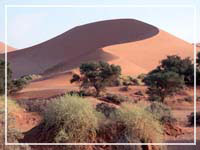 Düne Namib